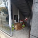 미가상사