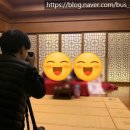 (주)대신항공여행사 이미지