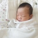 김포 교체없는 산후도우미 고르는 방법 아이미래로 김포지사 이미향 관리사님 추천