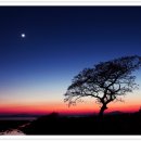 여백 - 제주시 함덕8길 55 | 여백