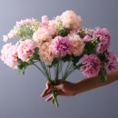 담배/전자담배 소매업 이미지