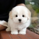 청도메디컬 이미지