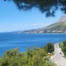 들꽃향기머무는곳 | EP.06 블룸, 향기가 머무는 곳