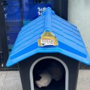 볼트보드카페 이미지