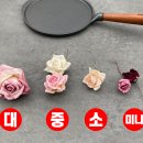 페이퍼로즈 이미지