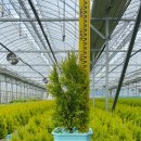 포에버농장 이미지