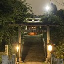 일본, 도쿄 한 달 살기… 셋째 주🗼 (롯폰기, 도쿄타워, 시부야, 도쿄역…)