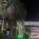 명선식당 | [제주 여행] 제주 물개의 갈치조림 추천 맛집, 명선식당 (제 픽은 고등어회요)