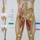 테크노도담한의원 이미지