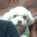 사동지구대 이미지