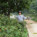 종규농장 이미지