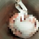 무병장수건강원 이미지