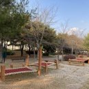 파주시유아숲체험원 이미지