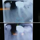 엠드림(주) 이미지