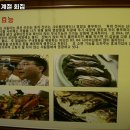 구룡포계절회집