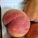 금장농장 이미지