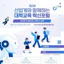 대학교육