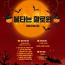 노다지강정