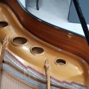 롯데이화음악학원 이미지