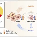 Can tumor cells take it all away? 이미지