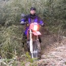 대숲속으로 이미지