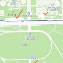 보라매 5호(중앙매점) | 2025 서울 국제 정원 박람회 방문 후기 (보라매공원)