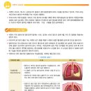 석면 MSDS 이미지