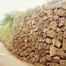 화북진지 이미지