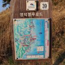 블루로드 이미지