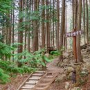 완주 편백숲 관광안내소 이미지