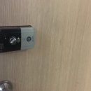 까치열쇠 이미지