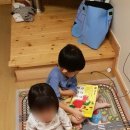 나무앤씨 키즈 이미지