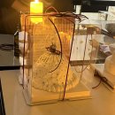 차의과학대학교 | [차 의과학대학교 미술치료대학원] 2학차 종강 후기