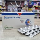 동암프라자 약국 이미지