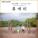 용천농원 | 제주 휴애리 핑크뮬리 축제 10월 제주도 여행 추천 휴애리 자연생활공원