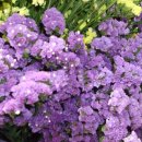 밝은마음 이미지