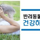 나의 단짝 반려동물 이미지