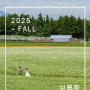법인보롬왓