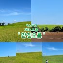 푸른마을차오름태권도장 | 제주 오름 윈도우배경으로 유명한 안친오름 스냅사진명소 (주차/유료)