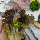 대림수산