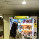 합천군-0004 | [2023 일본] 예비부부의 3박 4일 도쿄여행 : 디즈니 덕후의 디즈니랜드 방문! 3일차, 4일차