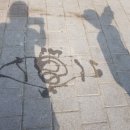 다이소금호지구점 이미지