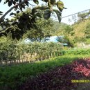 스마일농장 이미지