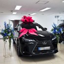 씨3모터스 | 2025 렉서스 nx350h 신차 출고후기 (인생 첫차, 남편의 내돈내산)