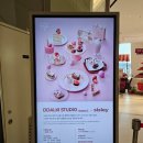 한상돈농장 | [용산역] 서울드래곤시티 인 스타일 딸기 스튜디오 방문후기