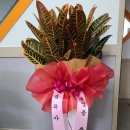 성원행정사 사무소 이미지