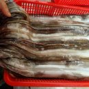 남해어시장 이미지