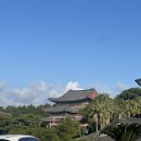 영남운수(주) | #9. 마음 따뜻한 가을