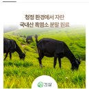 정*건