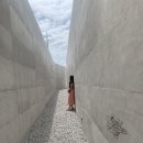 건축사사무소 보리 이미지